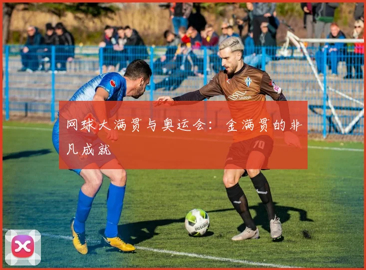 网球大满贯与奥运会：金满贯的非凡成就