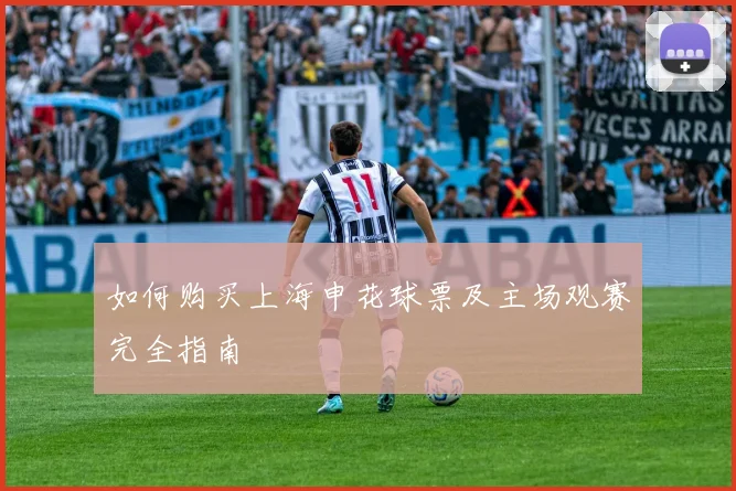 如何购买上海申花球票及主场观赛完全指南