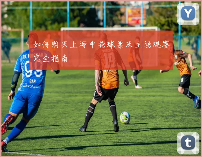 如何购买上海申花球票及主场观赛完全指南