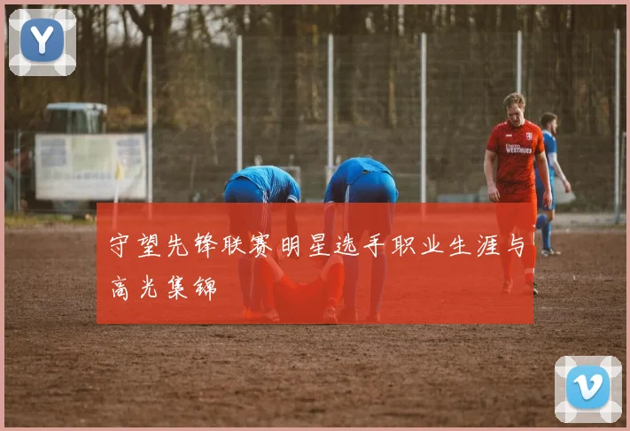 守望先锋联赛明星选手职业生涯与高光集锦