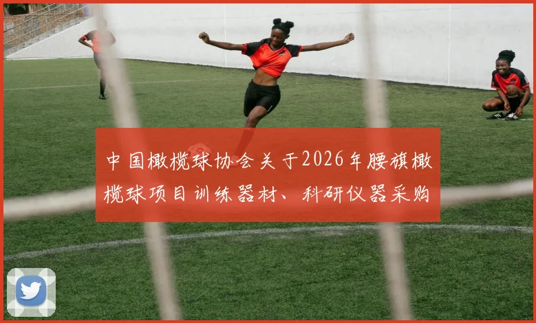 中国橄榄球协会关于2026年腰旗橄榄球项目训练器材、科研仪器采购的招标公告